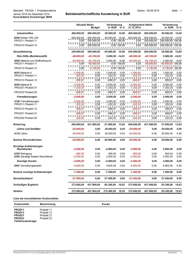 BWA-Betriebswirtschaftliche_Auswertung