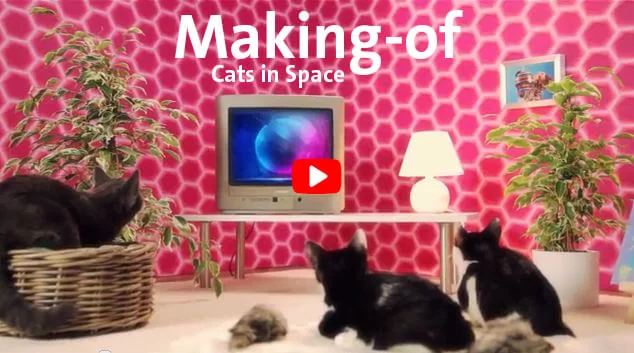 Cats in Space - Making-of Overlay für Video
