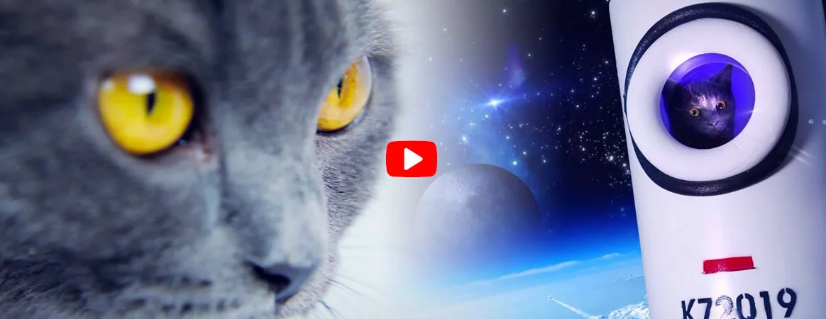 Cats in Space - Headerbild Desktop
