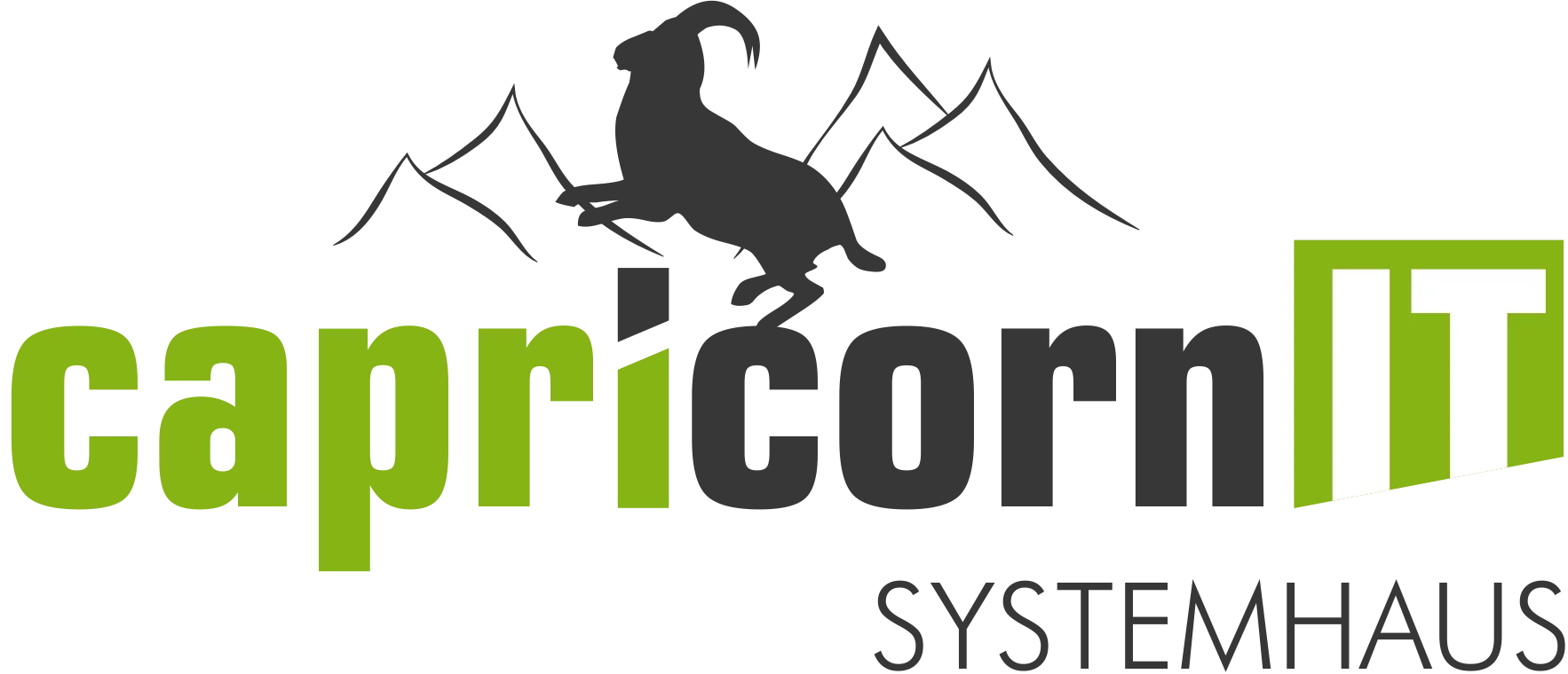 Logo unseres Partners Capricorn IT Systemhaus GmbH