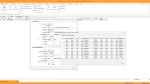 Screenshot beim Vortragen einer Anlage in der SelectLine Anlagenbuchhaltung